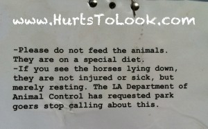 Photo of Runyon Canyon Horses Los Angeles Department of Animal Control Feeding Hurts To Look