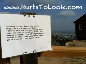Photo of Runyon Canyon Horse Farm Sign Hurts To Look